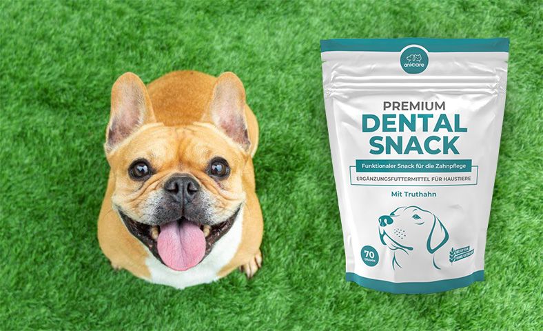 Premium Dental Snack - chien avec des dents propres