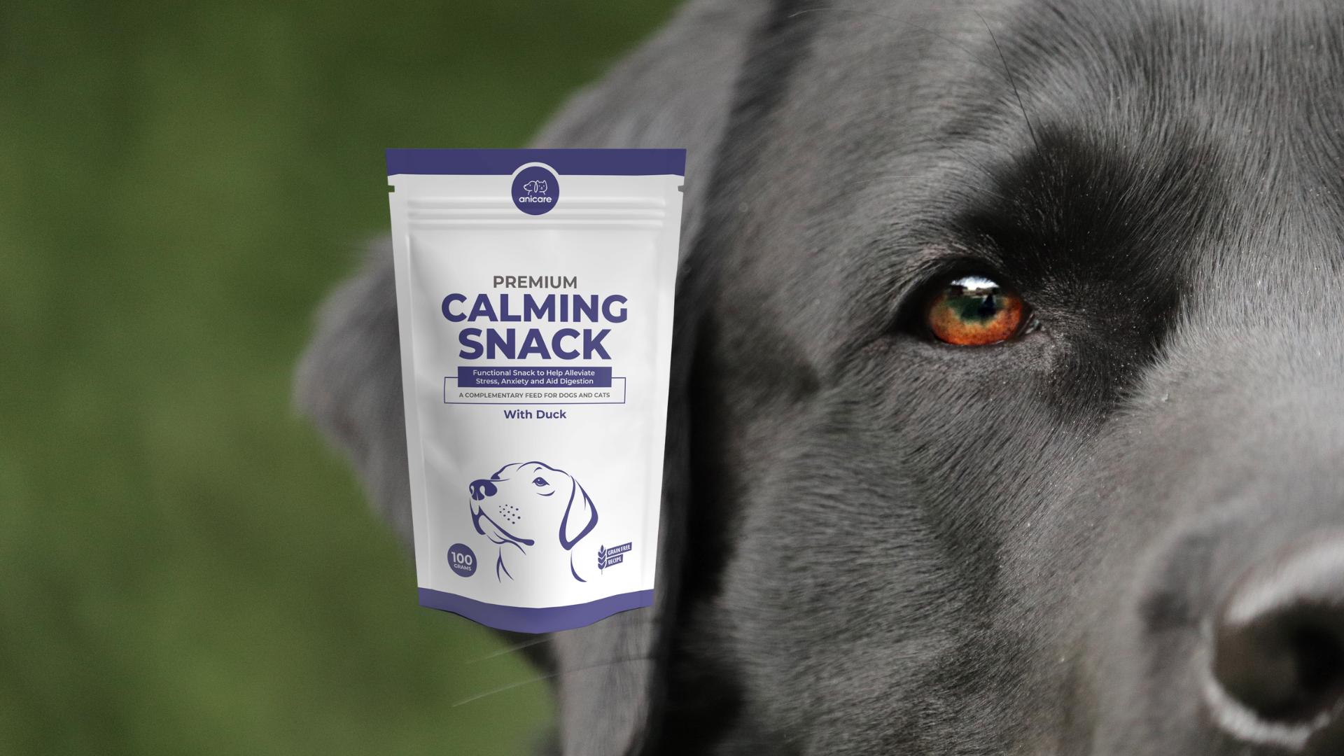 À qui convient le Premium Calming Snack ? - Collation calmante de première qualité